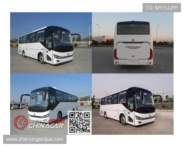 亚星正网操作详解：全面掌握亚星正网的操作流程与技巧