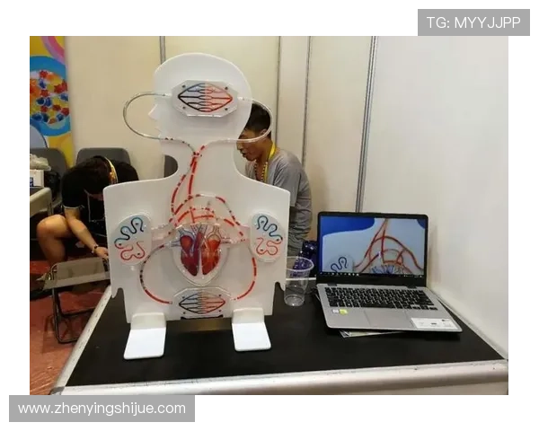 亚星注册登录流程详解帮助用户顺利完成账号注册与登录