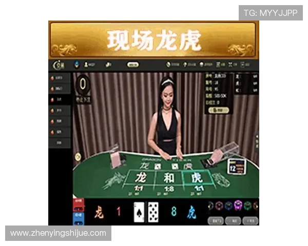 亚星游戏会员登录入口官方入口网址大全，便捷访问确保账号安全稳定登录