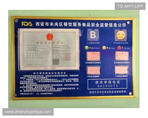 亚星登录地址安全保障措施详解，保障用户信息安全的登录方式推荐