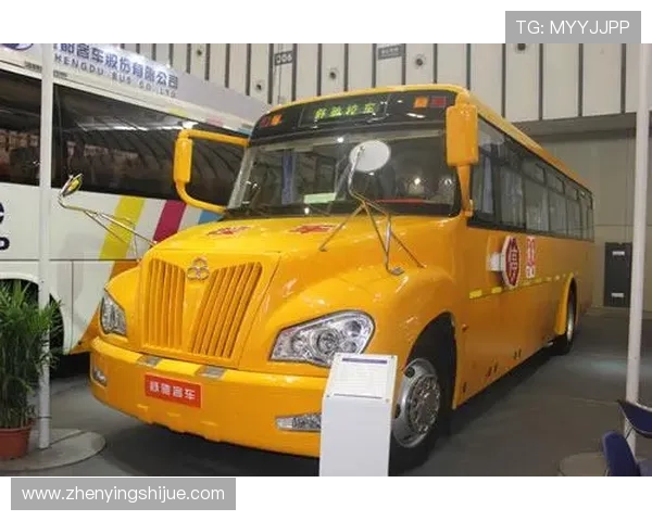 亚星登陆官网338游戏玩法攻略，丰富玩法技巧助你在亚星登陆官网338中取得优异成绩