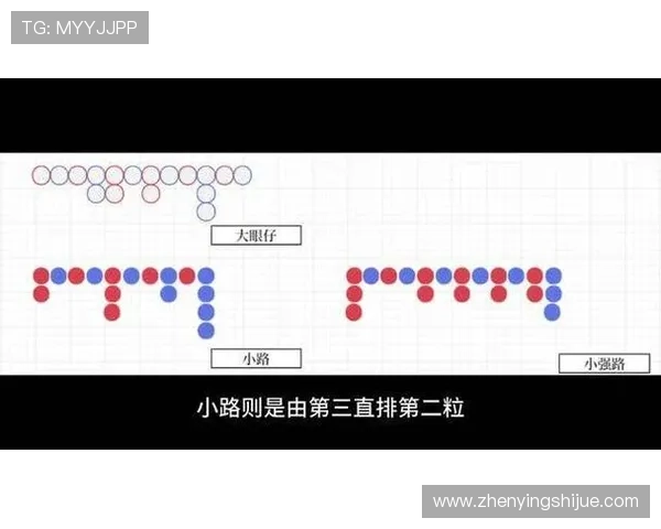 如何通过观察百家乐下三路提升投注成功率的实用方法