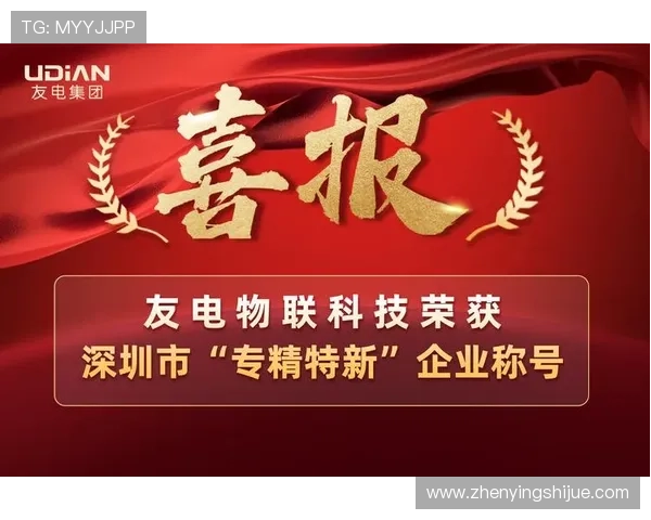 K8凯发网址平台介绍,涵盖丰富的游戏类型和优惠活动 K8凯发网址平台介绍,涵盖丰富的游戏类型和优惠活动
